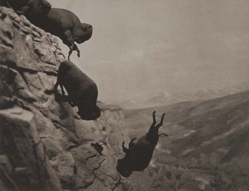WOJNAROWICZ, DAVID (1954-1992) Untitled (Buffaloes).